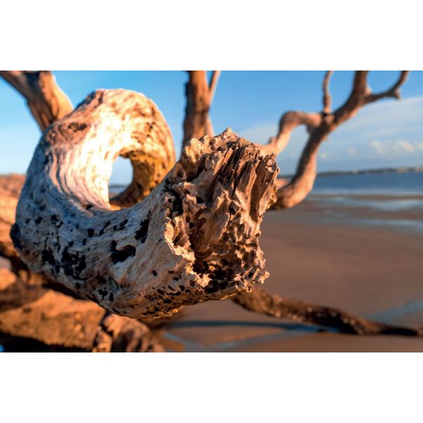 DURANCE Driftwood Rankų darbo kvapni žvakė