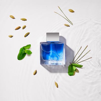 BANDERAS Blue Seduction For Men Purškiamas tualetinis vanduo